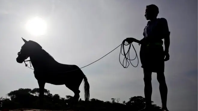 Ilustrasi: Seorang pria Sumba Barat dengan kudanya yang akan diikutsertakan dalam upacara adat Pasola