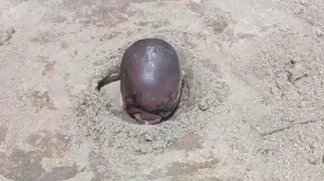 Bi won se sin Friday Oshodi laaye