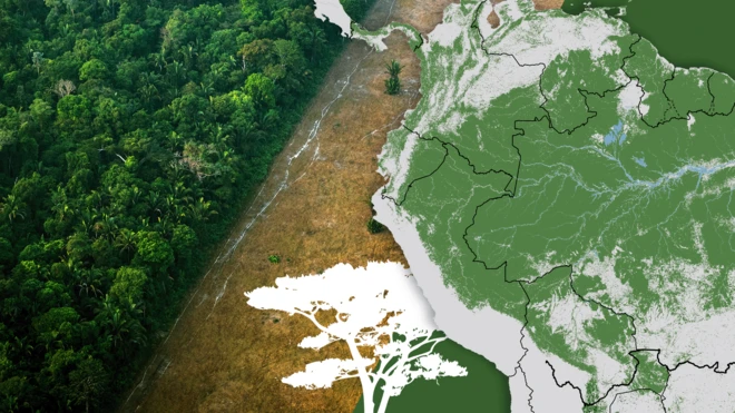 Ilustración de la selva amazónica en la que se aprecia un mapa de América del Sur con los países que tienen parte de esta selva