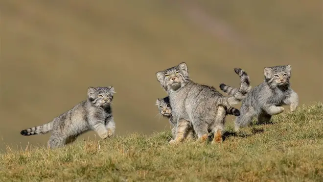 When mother says run by Shanyuan Li, China