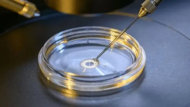 Penyundingan dasar atau base editing mengubah blok bangunan mendasar dari DNA.