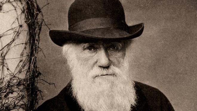 Charles Darwin's work on evolution theory by natural selection changed the way we think about the natural world