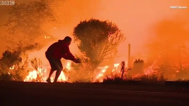 كاليفورنيا