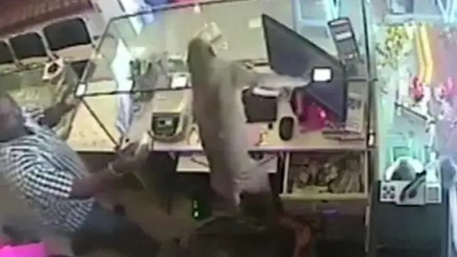 මුදල් මංකොල්ල කන වඳුරෙක්