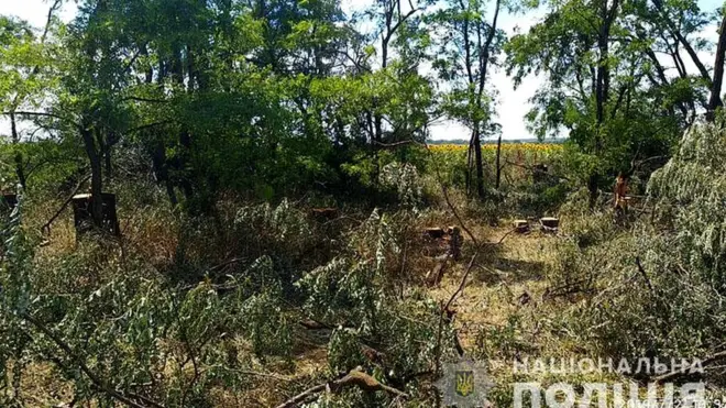 "Лісорубам" видалося важливішим, щоб їх не зловили на незаконній вирубці, ніж поховати товариша
