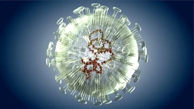 سائنس کے جریدے میں شائع ہونے والی اس تحقیق میں انفلوزیا اے کے 18مختلف وائرس اور ہیمگلوٹین پروٹین کا اس کی سطح پر جائزہ لیا گيا ہے