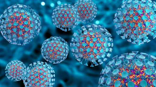 ไวรัสที่เป็นสาเหตุของโรคเอดส์