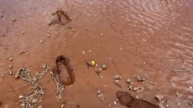 Footprints in Solio town in Kenya