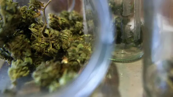 กัญชาในโถ