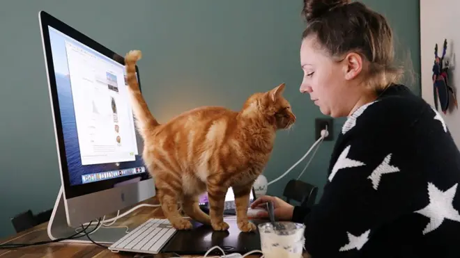 A cat walks across the desk of a woman who is working from home in Sassenheim, Netherlands.