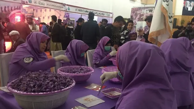 جشنوارۀ گل زعفران هر سال در هرات به هدف بازاریابی و جلب توجه به زعفران افغانستان برگزار میشود.