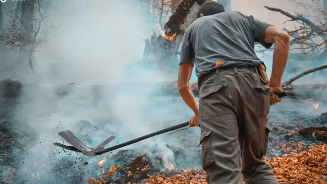 stara planina požar