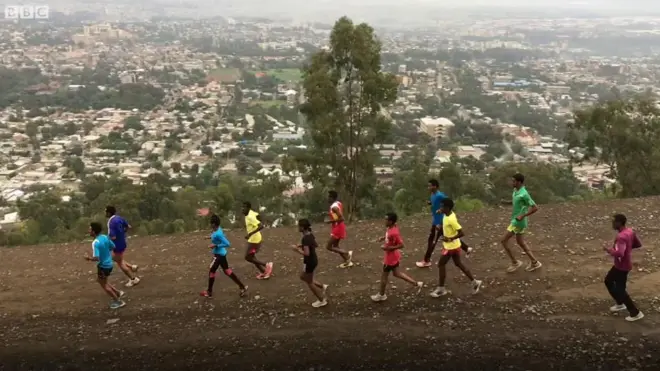 መድሃንየ ሃይለ