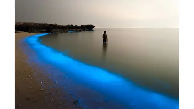 While walking along the shore of Larak, Iran, Pooyan Shadpoor came across this luminous scene. The “magical lights of [the] plankton... enchanted me so that I snapped the shot,” he says.