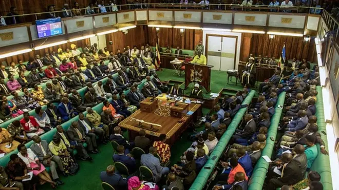 Mbunge apeleka nzige