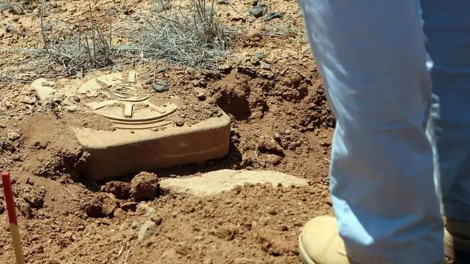 Bayam pendeteksi bom