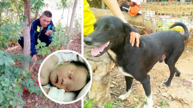 Urwo ruyoya rwarokowe n'iyo ntozo Ping Pong inyuma y'aho ruhambiwe na nyina warwo rukanura