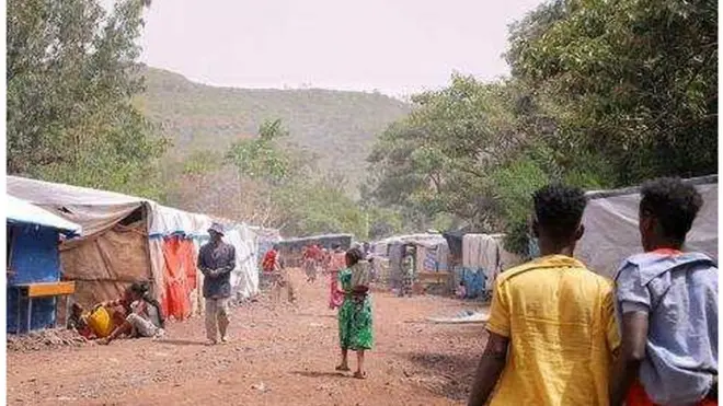 ሰብኣዊ ረድኤት