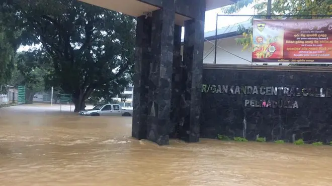 ගංවතුර පැල්මඩුල්ල