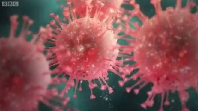 Що різномаїтніша флора кишечника, то стрункіше ваше тіло.