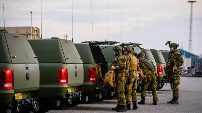 Норвежская полиция