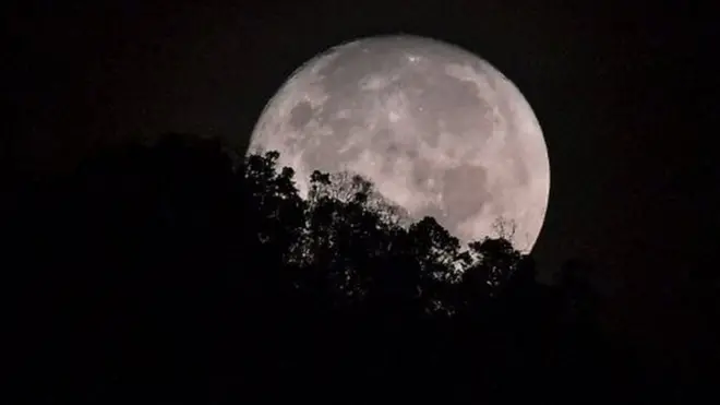 SpaceX planea que su misión lunar se lleve a cabo en el segundo semestre de 2018.