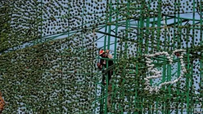 'ලොව විශාලතම නත්තල් ගස'