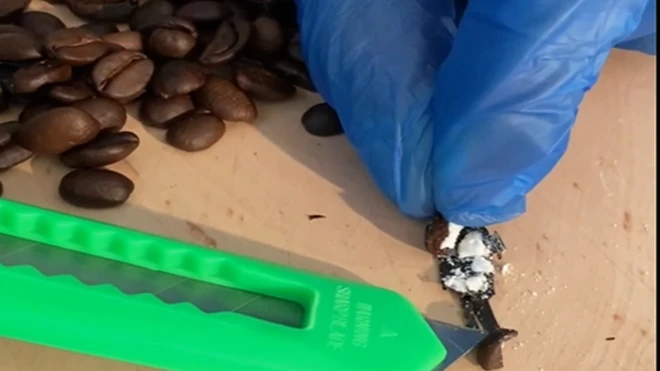 kahve çekirdeğinde kokain