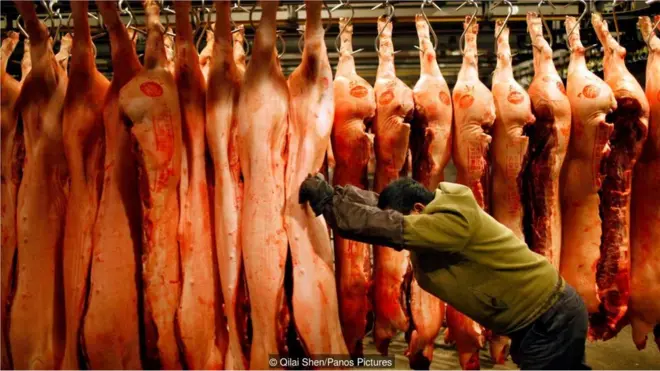 ...sedangkan gambar seperti ini, yang menunjukkan proses produksi daging skala besar yang tinggi emisi, lebih efektif.