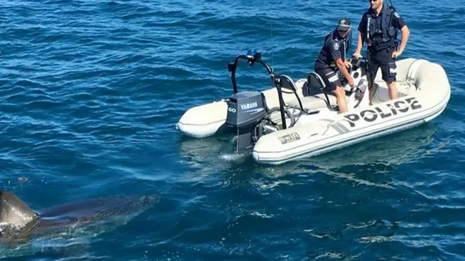 Полицейские в Австралии