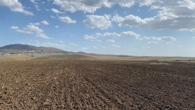 Ankara'da Polatlı'ya bağlı köylerde temel geçim kaynağı tarım.