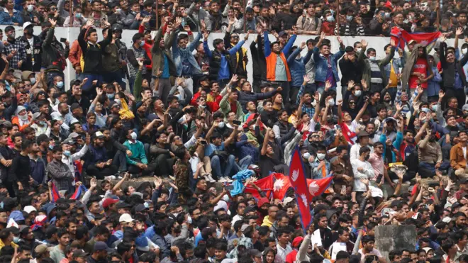 क्रिकेट 