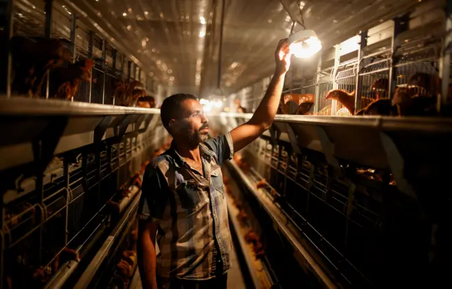 ينطبق القانون الجديد على 30 مليون عامل