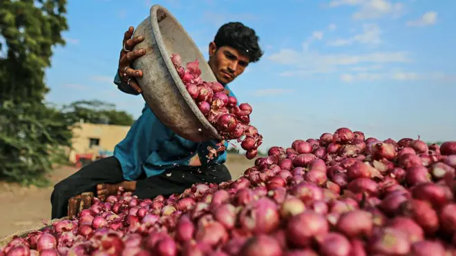 कांदा उत्पादक शेतकरी