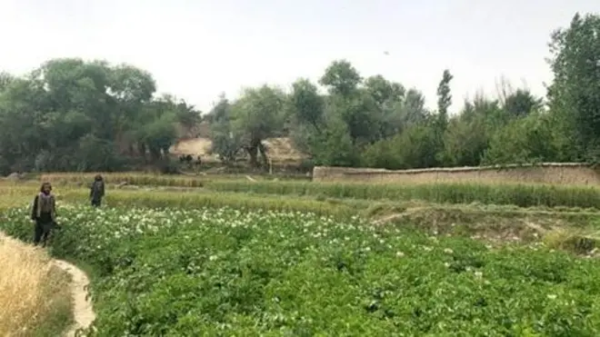 BBC ilitembelea mkoa wa Andarab chini ya uangalizi wa walinzi wa Taliban.