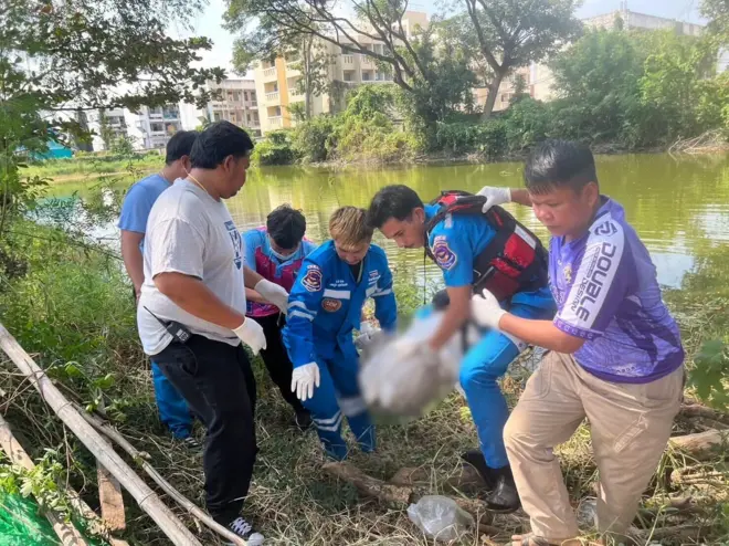 ศพบัวผัน