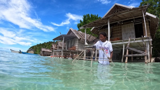 terumbu karang, raja ampat, caledonian sky