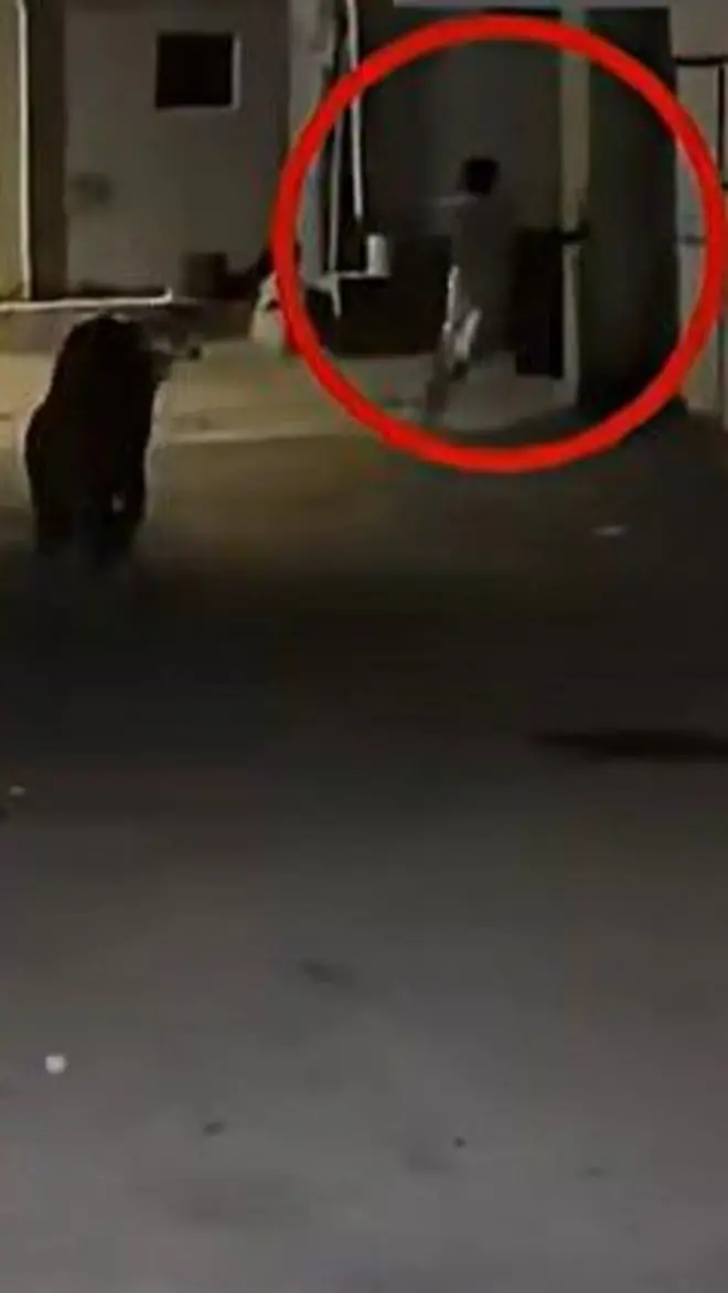 شیر