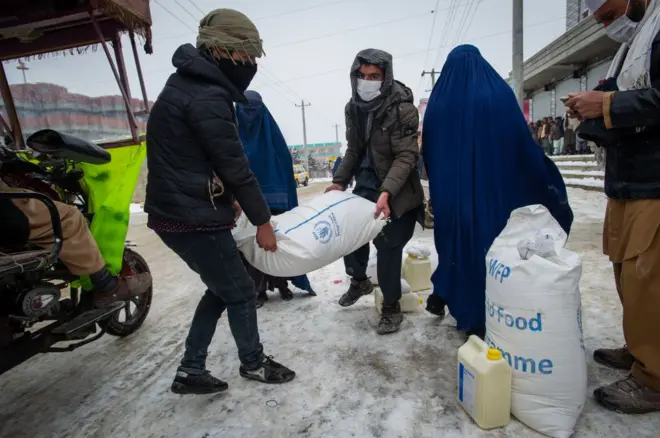 د خوړو نړيوال پروګرام