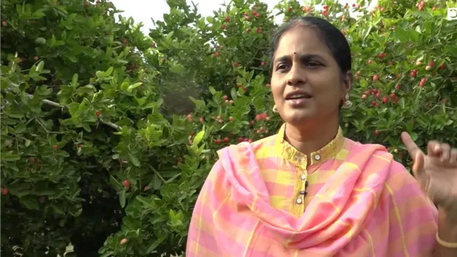 వాక్కాయ 