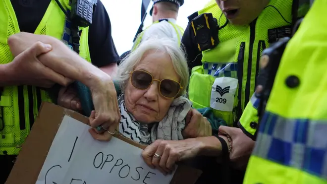 Полицейские задерживают женщину преклонных лет с плакатом «Я против геноцида»