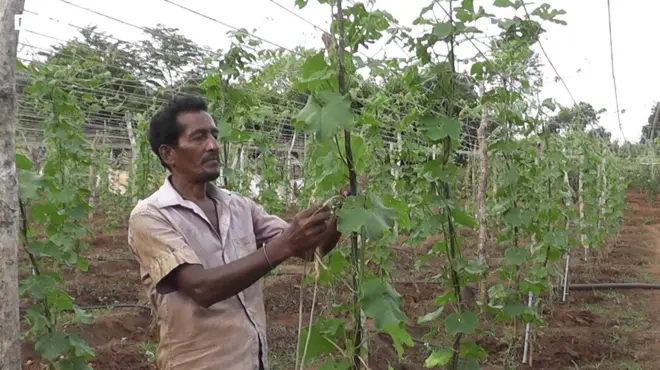 'ග්රාම නිලධාරී හමුවෙන්න කිලෝමීටර් 66ක් යන්න ඕනා'