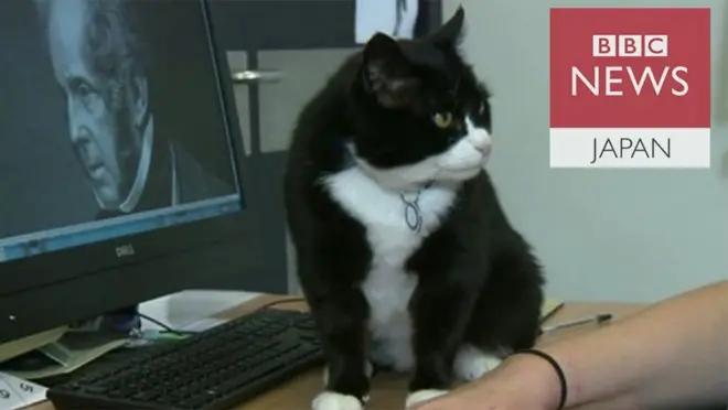 パーマストン卿の肖像画を映した画面の前に座る英外務省の猫「パーマストン」