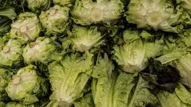 Green leafy vegetables