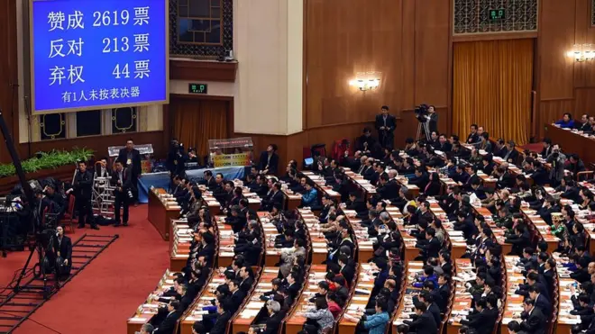 全国人大代表大会投票情况（示意图）
