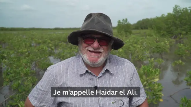 L'homme qui aide à sauver les mangroves du Sénégal