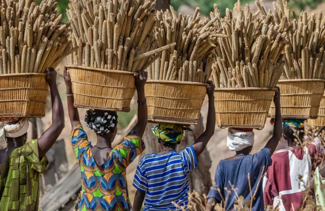 Des femmes africaines marchent, avec des paniers de mil sur la tete