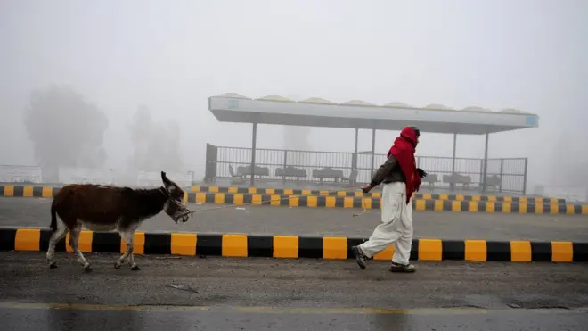 چارواکي وايي، پاکستان کې خرو ته اهمیت نه ورکول کېږي، خو چین کې یې له پوست نه درملو کې کار اخیستل کېږي