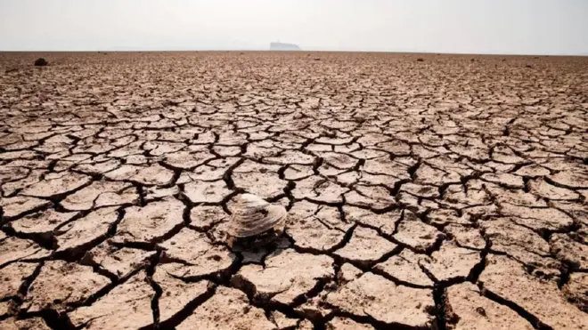 Suhu bumi akan meningkat tahun depan.