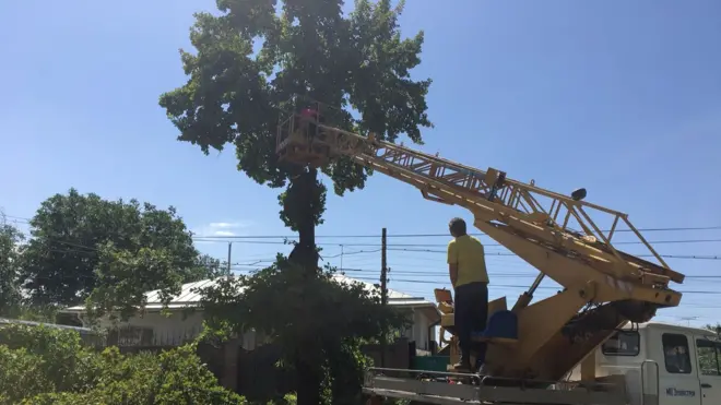 Бишкекте жол кеңейтүү үчун бак-дарактар кыйылууда